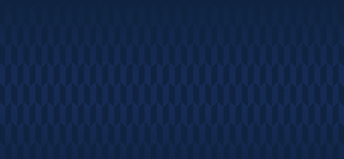 Vin Vũ Yên tổng quan