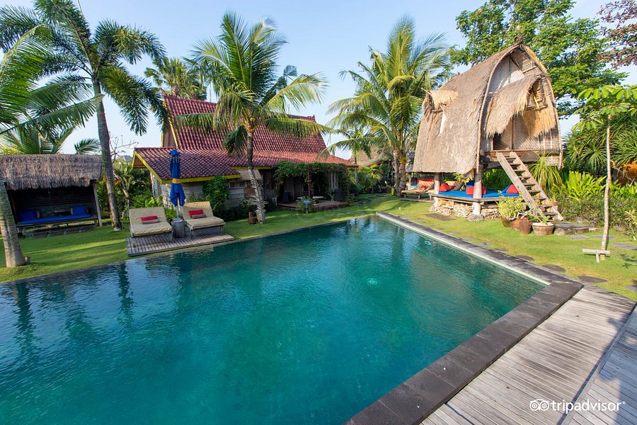 Desa Seni Village Resort, Bali - địa điểm lý tưởng để cai thuốc lá và chăm sóc sức khỏe