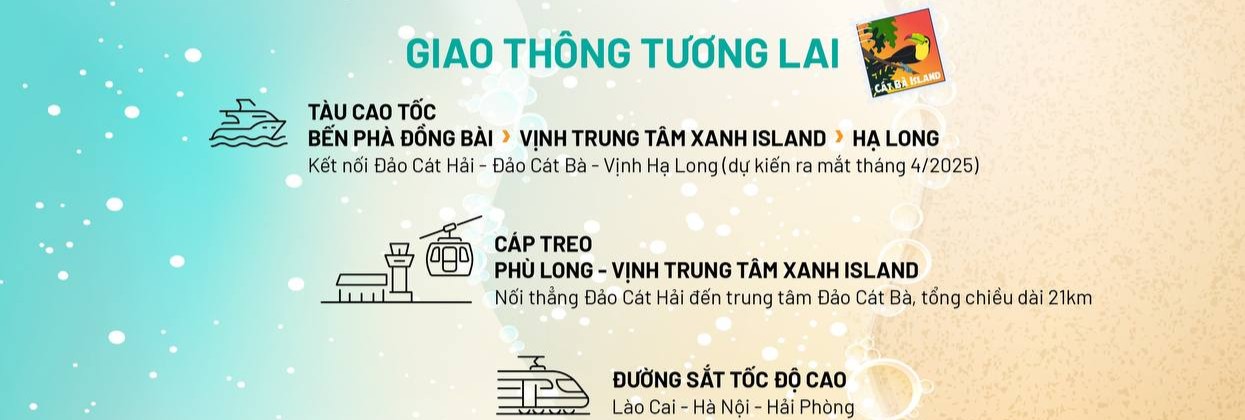 vi-tri-xanh-island-cat-ba3