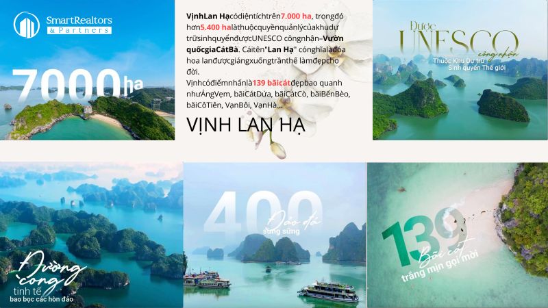 vinh-lam-ha-xanh-island-cat-ba