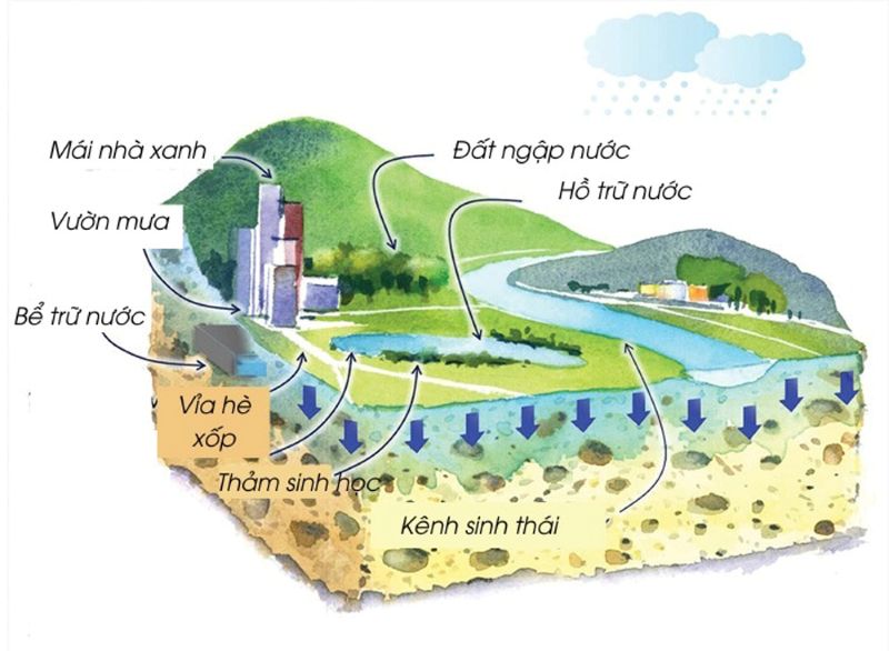 THÀNH PHỐ BỌT BIỂN LÀ GÌ? MÔ HÌNH ĐÔ THỊ BỀN VỮNG SUN GROUP TIÊN PHONG ÁP DỤNG TẠI NHA TRANG